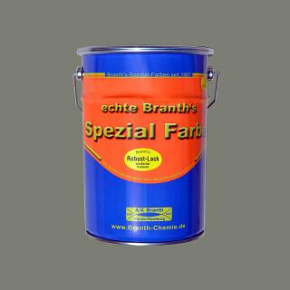 Branths Robuuste verf (sneldrogend) 5 liter betongrijs RAL 7023